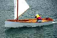 Goat Island Skiff. Pdf by email or Printed Book